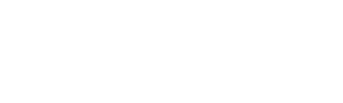 Light Logo